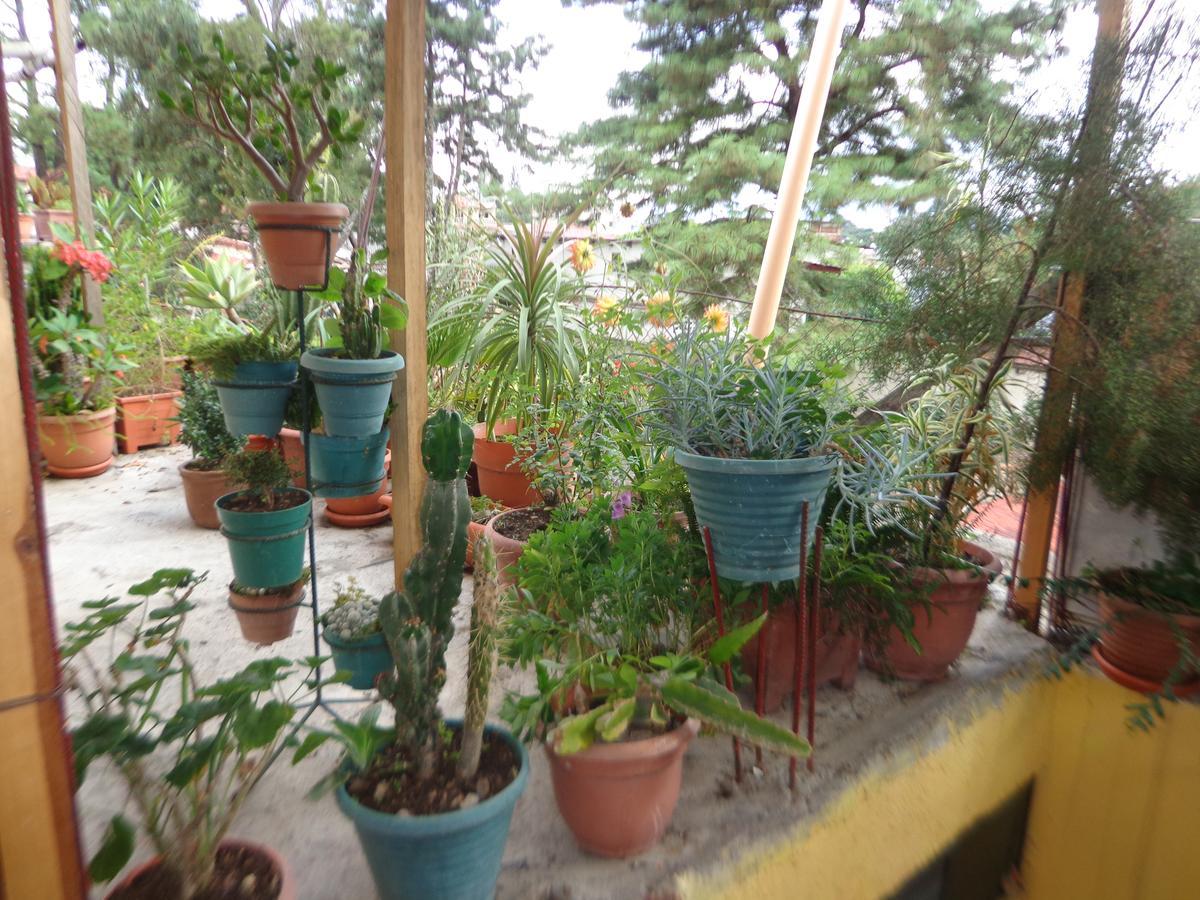 Hotel Encuentro Del Viajero Panajachel Ngoại thất bức ảnh