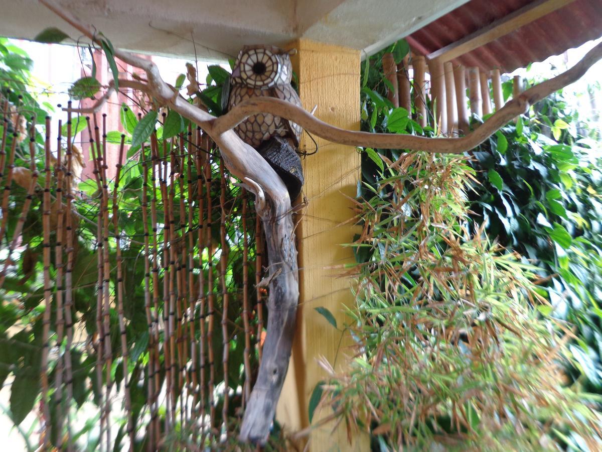 Hotel Encuentro Del Viajero Panajachel Ngoại thất bức ảnh